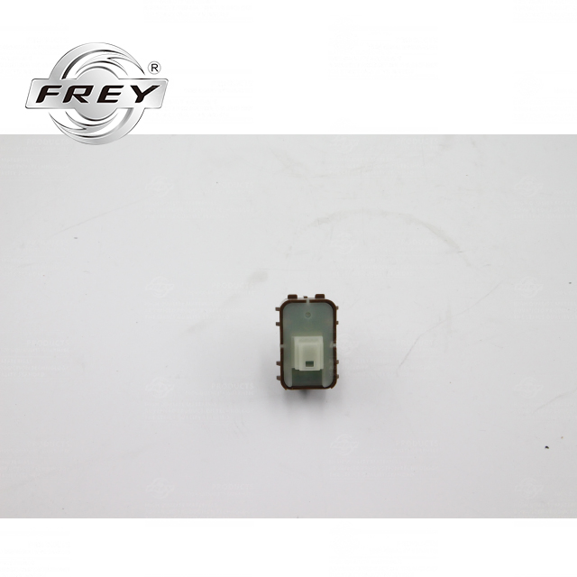 Frey Auto Parts Tail Gate Switch, Coffee 2059051713 for W205