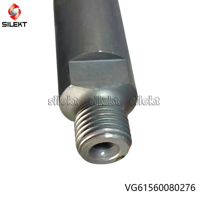 Fuel Injector Vg1560080276 61560080276 Weichai Euro II Truck Engine Parts Diesel Fuel Injector Wd615 Str Egr Common Rail Nozzle Piunger