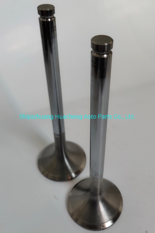 Клапан двигателя WD615-68 для дизельных двигателей