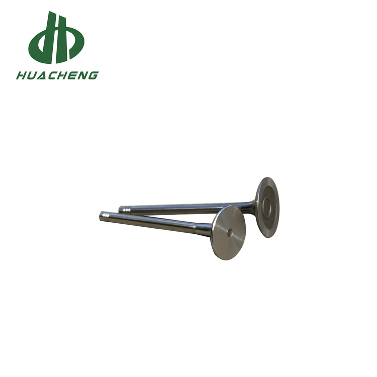 Впускной и выпускной клапан двигателя VW EA888