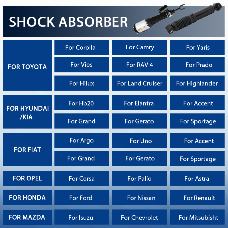 OE 543024989r Chassis Parts Shock Absorber for Dacia, Lada, Renault