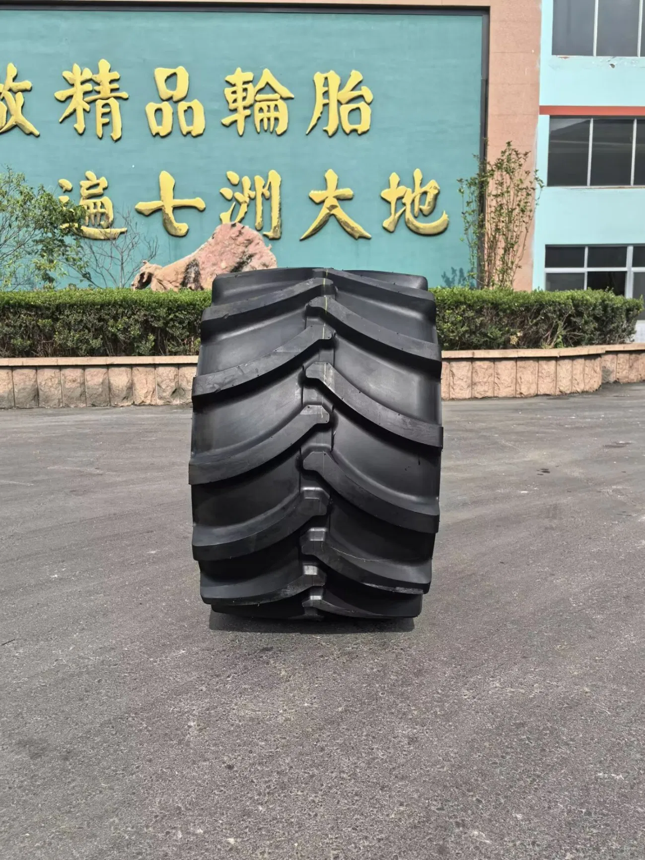 Radial Forestry Tyres 600/65r28 Ls-2 with Steel Belt for Logging Skidders with ECE Certificate