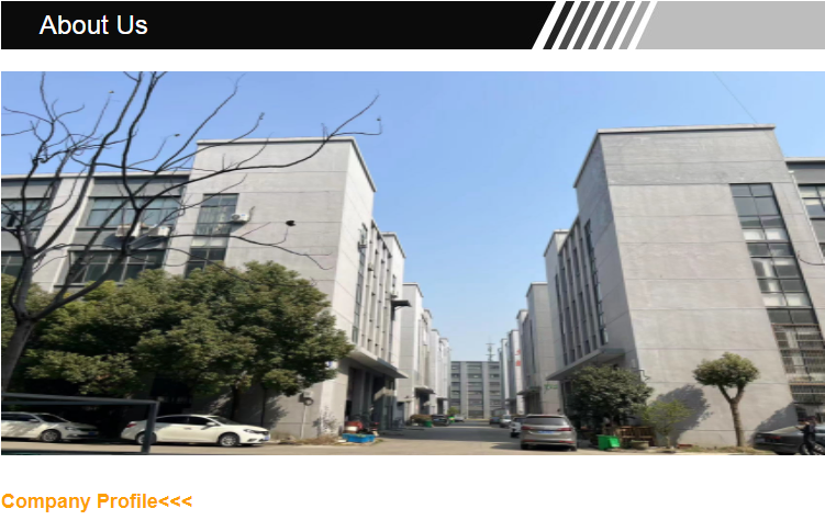 Trunk Wing Spoiler Rear Spoiler Deck for Honda Civic Accessories