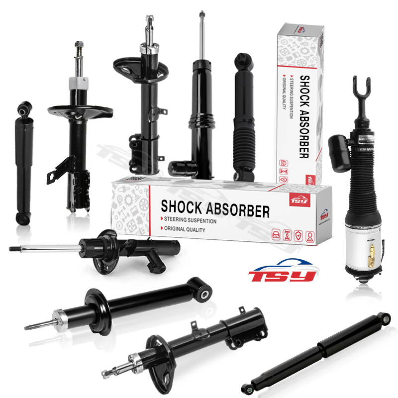 OE 543024989r Chassis Parts Shock Absorber for Dacia, Lada, Renault