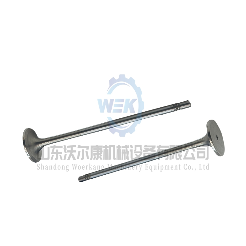 Впускной клапан двигателя 21016539 20768519 для Volvo D13, Tad1340ve