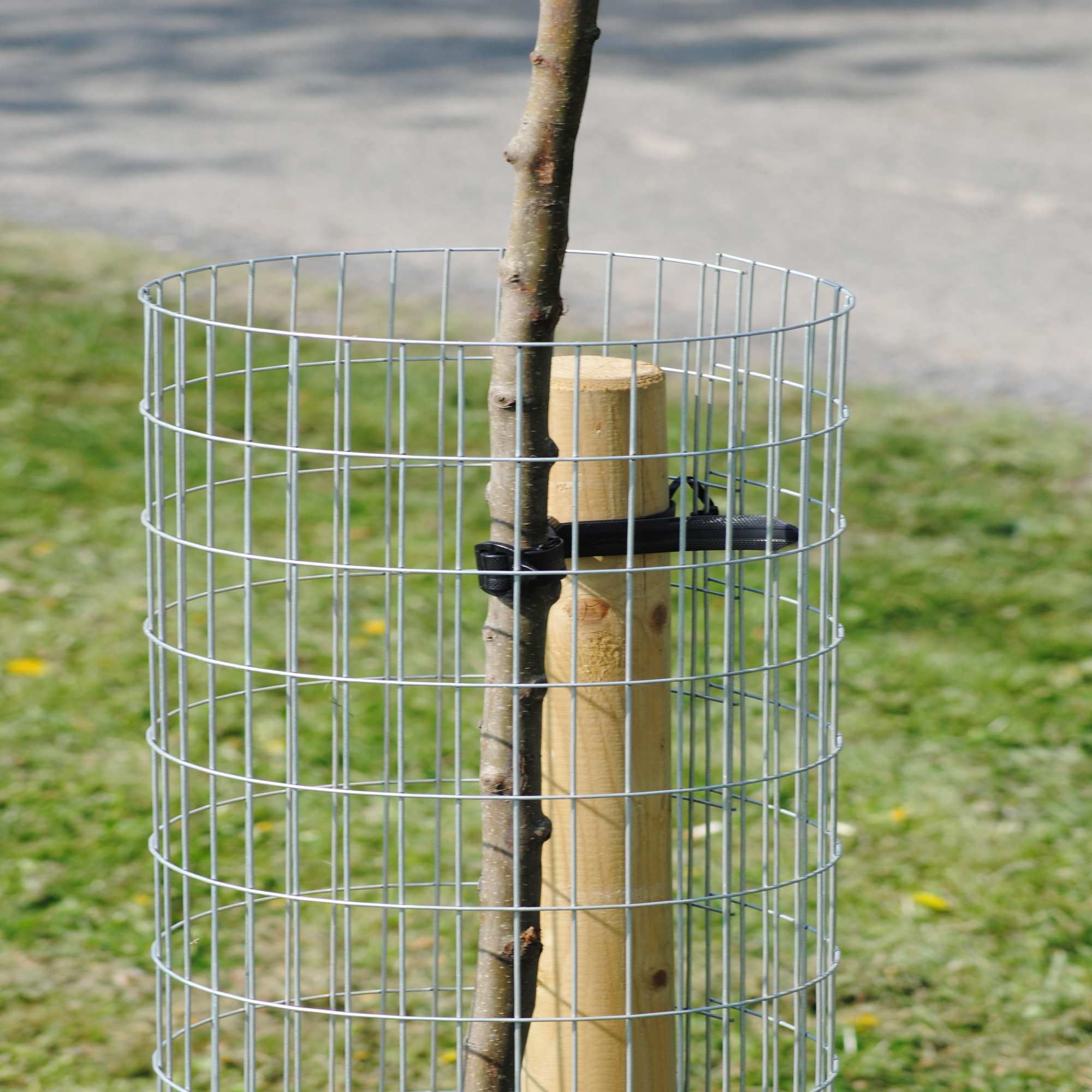 Tree Guard Mesh 35cm (2", 3", 4" Diameter) – Garden Protection for Plants from Rabbits and Chickens
