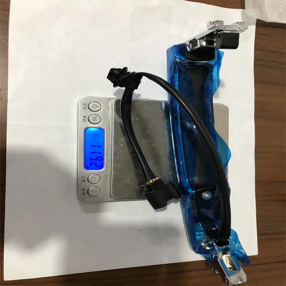 80640-CZ31b 80645-Ca000 Auto Door Handle for Nissan Murano Rogue 2010-2013