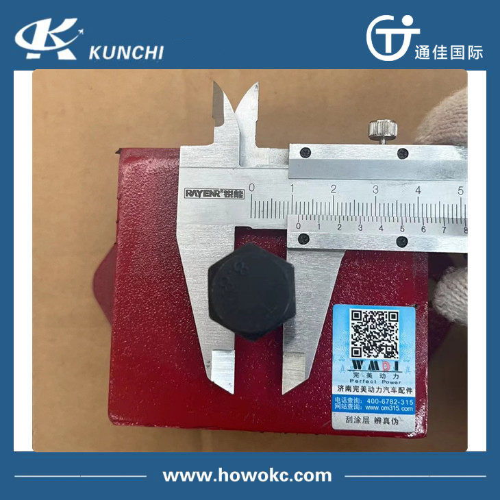 Передняя резиновая опора двигателя Shacman Delong DZ9114593001