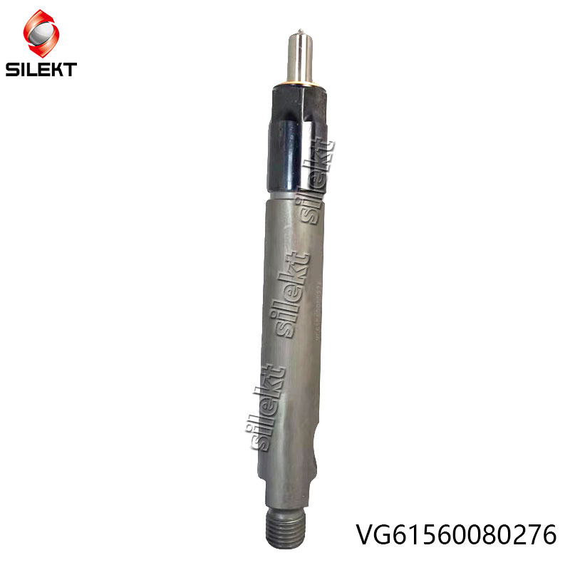 Fuel Injector Vg1560080276 61560080276 Weichai Euro II Truck Engine Parts Diesel Fuel Injector Wd615 Str Egr Common Rail Nozzle Piunger