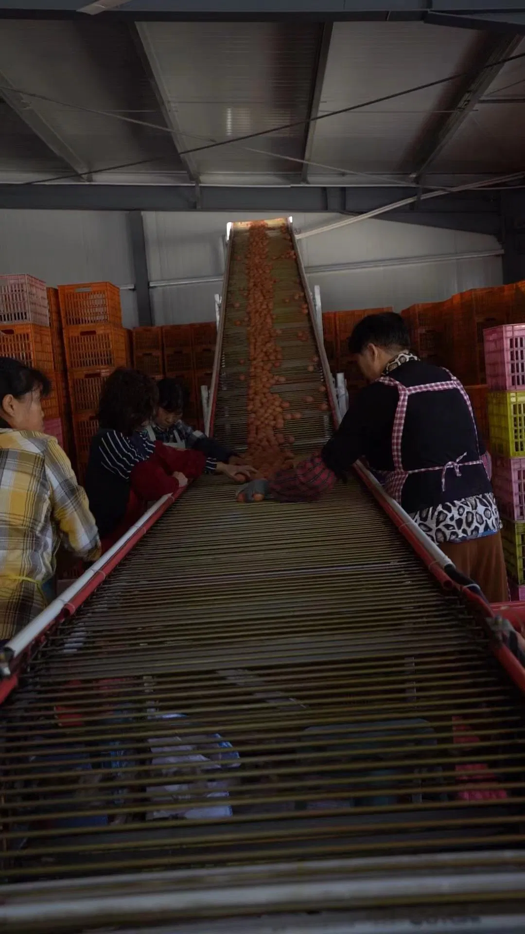 Автоматические клетки для кур-несушек H-типа