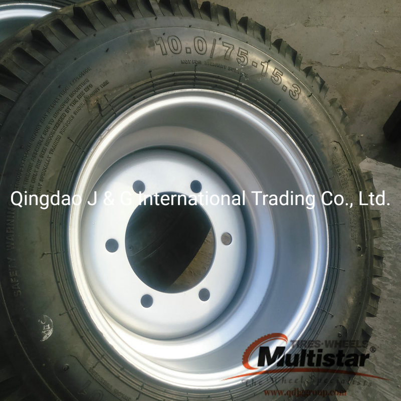 Assembly for Flotation Tyre, Agricultural Tyre, Farm Implement Tyre