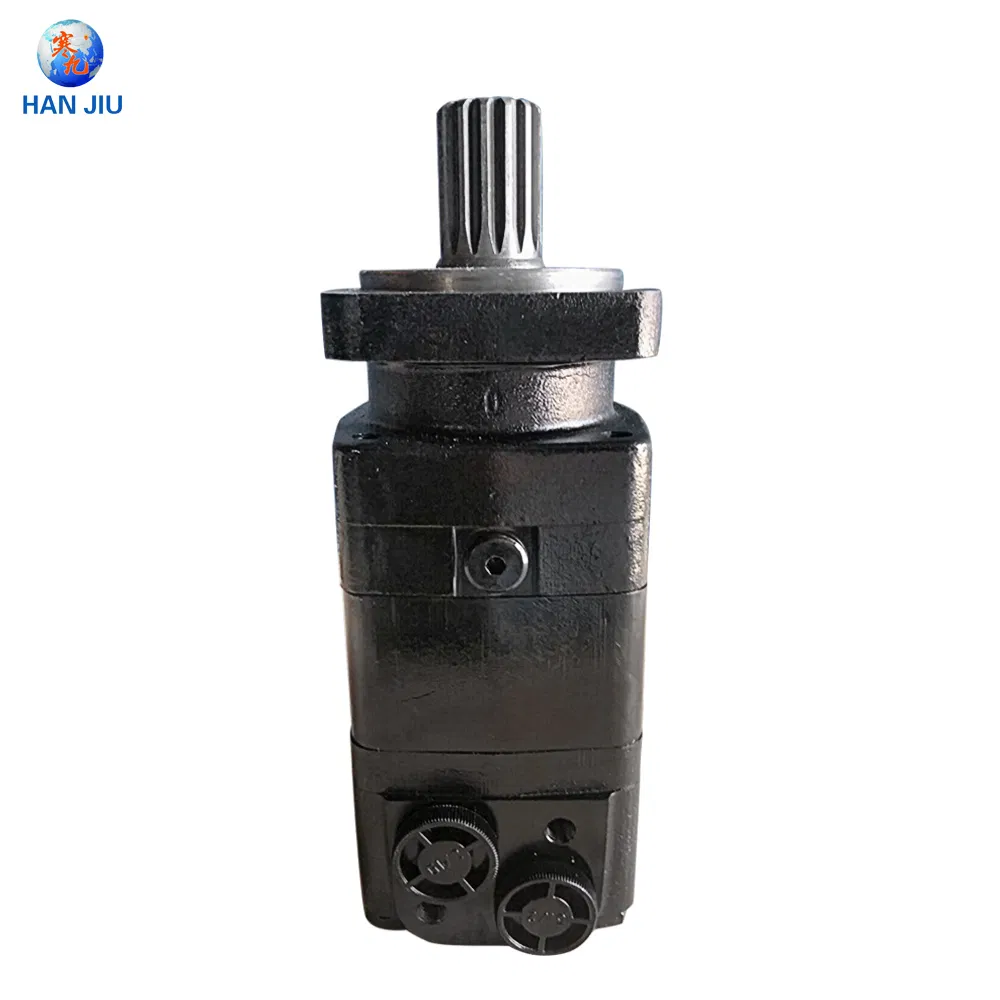 Hydraulic Wheel Motor with Brake Bmsw / Omsw Hydraulic Spare Parts