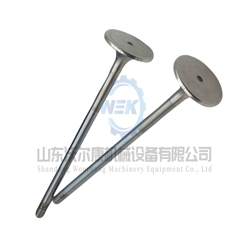 Впускной клапан для двигателей Volvo D13 и Tad1340ve