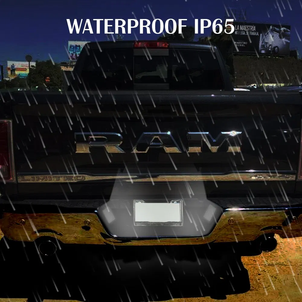 Светодиодные фонари подсветки номера Dodge RAM 2003-2018