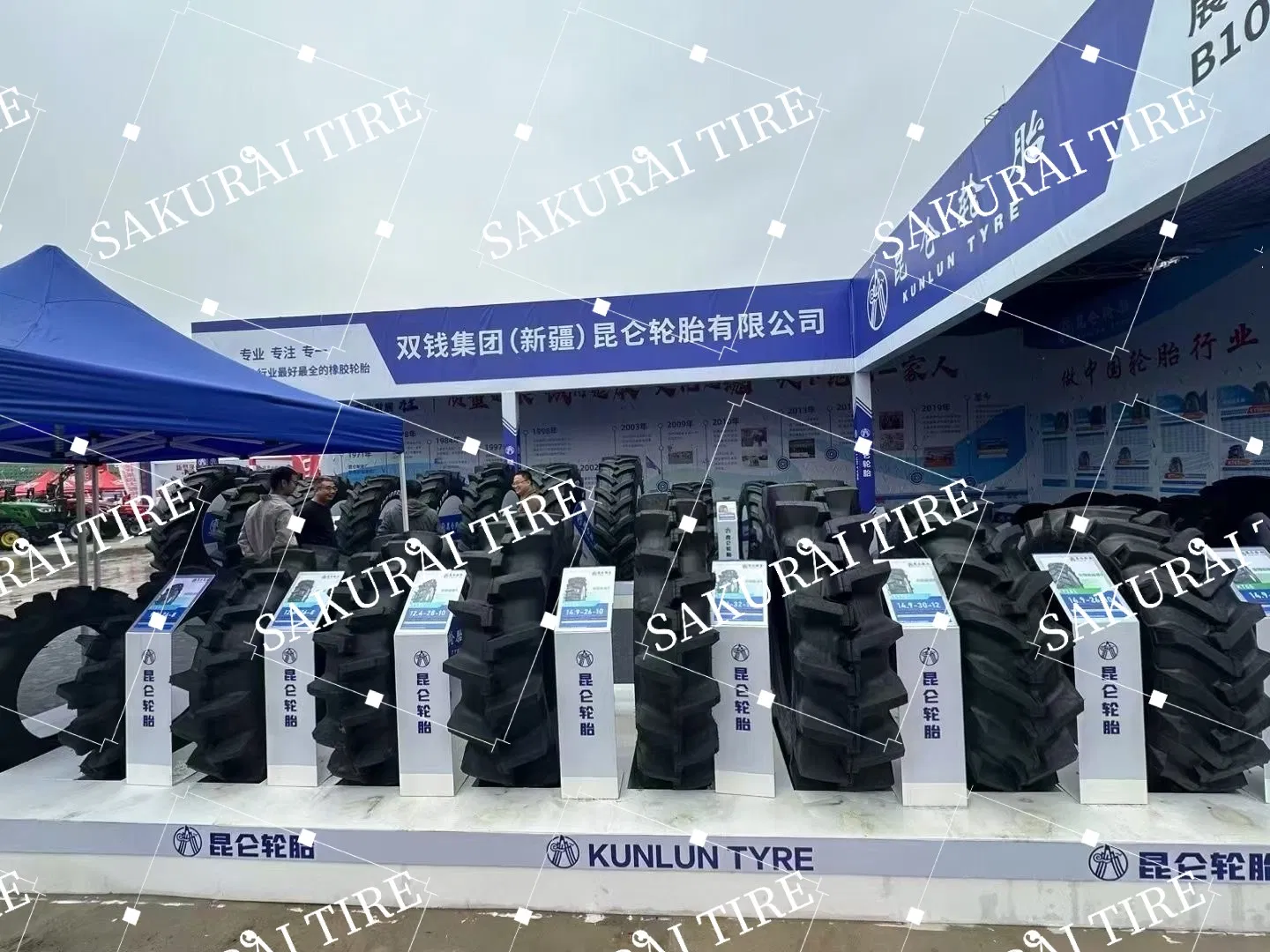 Double Coin/Kunlun 18.00r33 21.00r33 35/65r33 Truck Tires OTR Tires