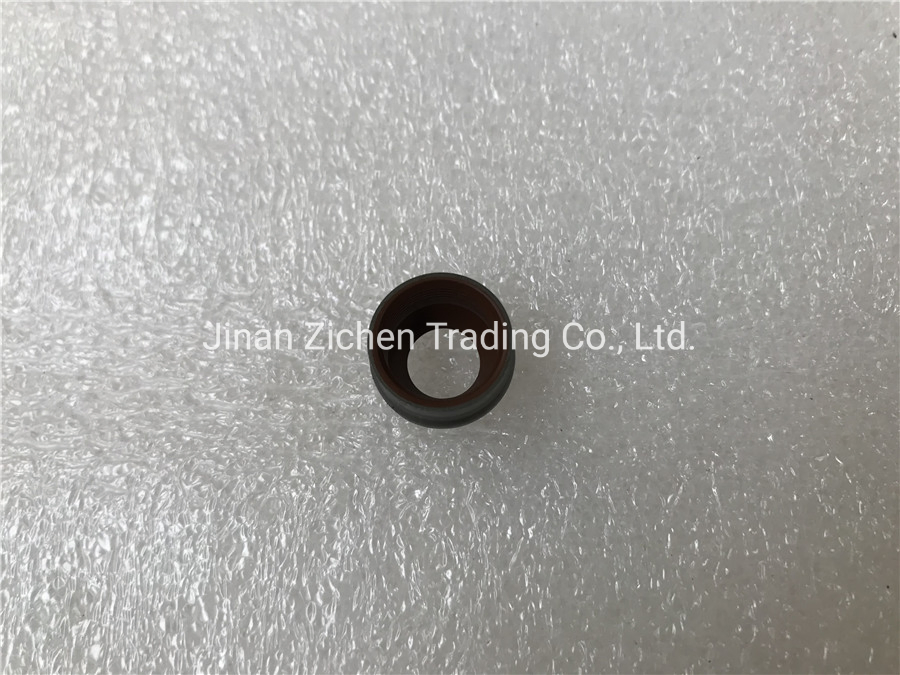 Маслосъёмный колпачок клапана для грузовиков Shaanxi, FAW, HOWO