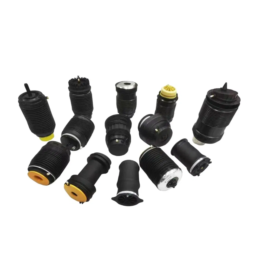 Auto Parts Air Repair Kit for Mercedes Benz R-Class W251 V251