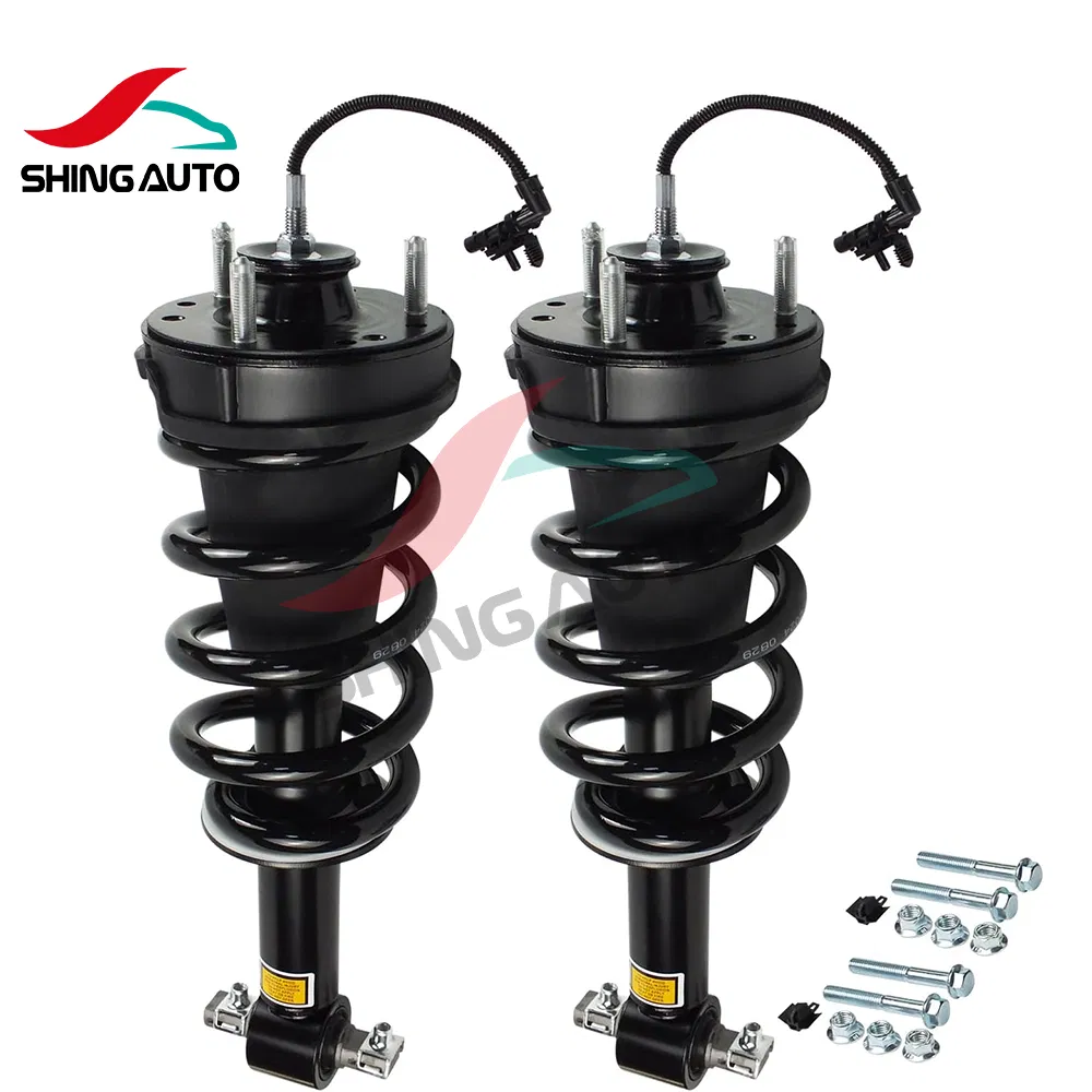 Auto Parts Front Rear Shock Absorber for Volkswagen