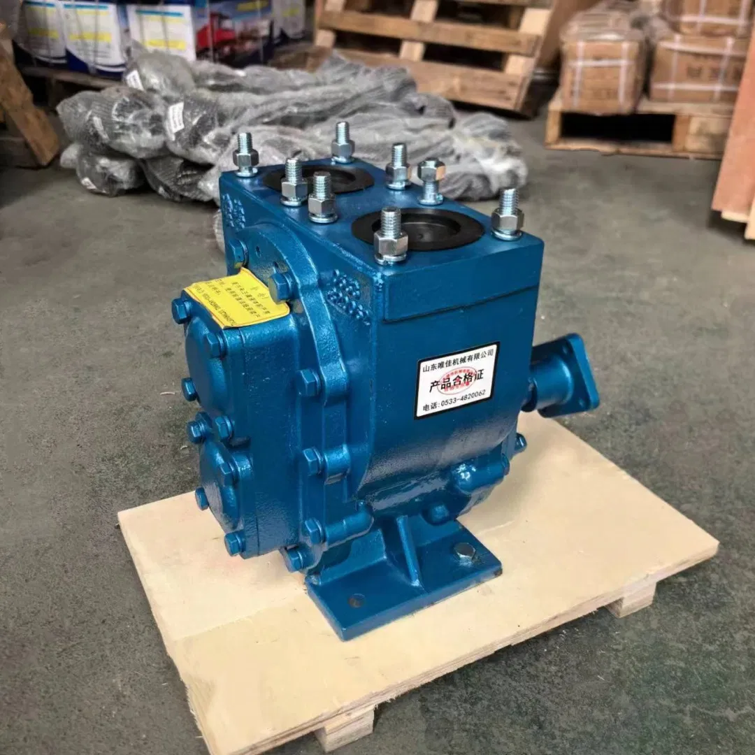 Sino Truck HOWO Truck Parts Engine Accessories 76ycb-40 Arc Gear Oil Pump W2406125