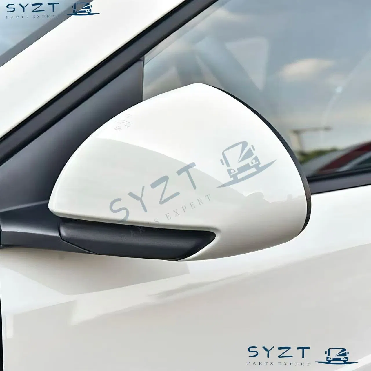 Electric Folding Rearview Mirror Assembly OEM Quality - Fits Byd Seagull/Dolphin Mini (Left Right Set)