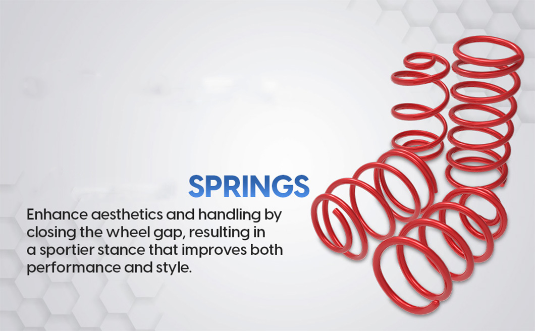 Профессиональные пружины для Ford Mustang 2015+