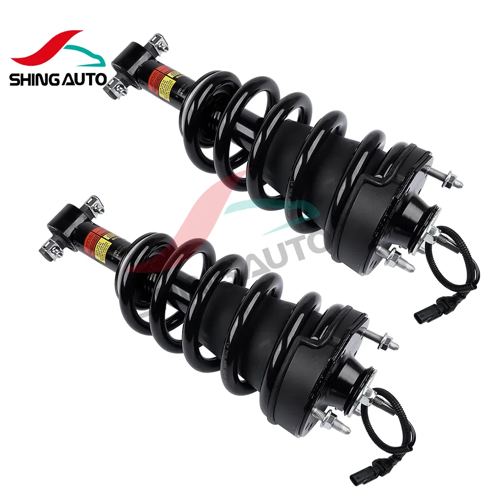 Auto Parts Front Rear Shock Absorber for Volkswagen