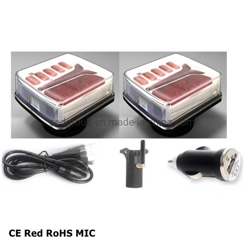 Shenzhen CE Red Mic Magnetic Automotive LED Taillight Kits