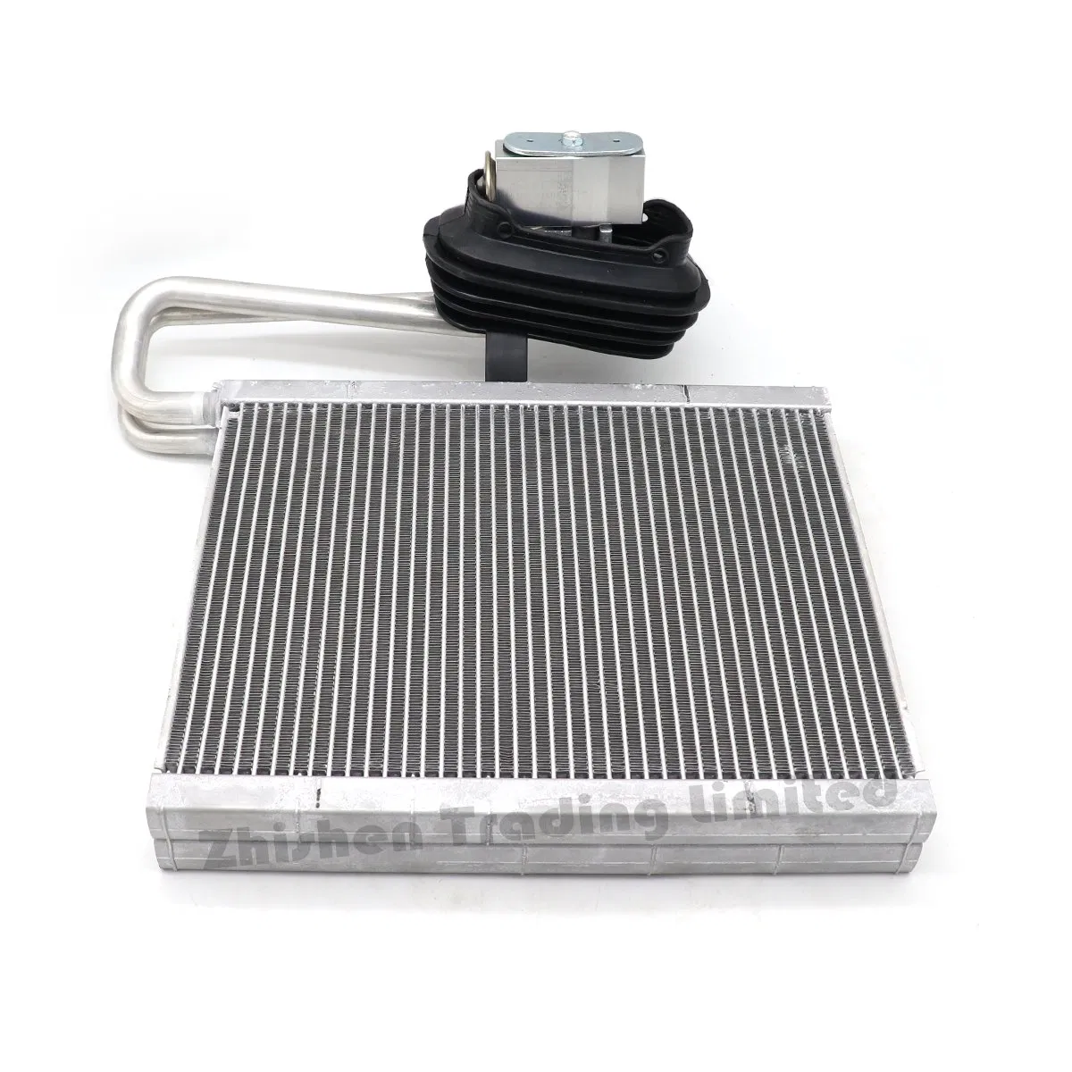 Baic Auto Spare Part Auto Accessory Car Spare Part Evaporator Evaporation Box Core with Expansion Valve for Shenbao D50 X55 Bjev Ex5 EU260 EU300 EU400 Zhixing