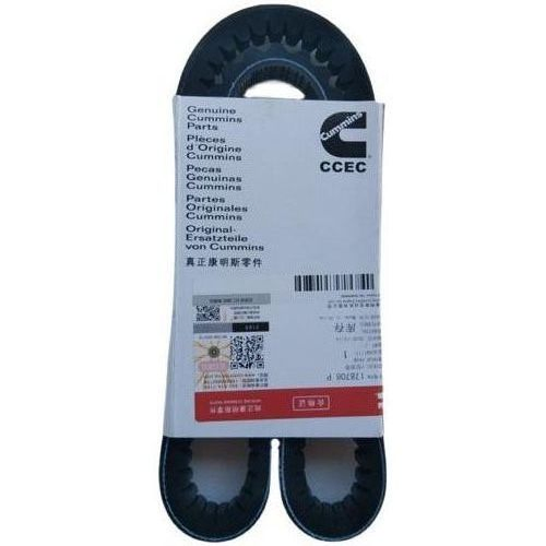 Ремень вентилятора и водяного насоса NTA855 3040384 217638