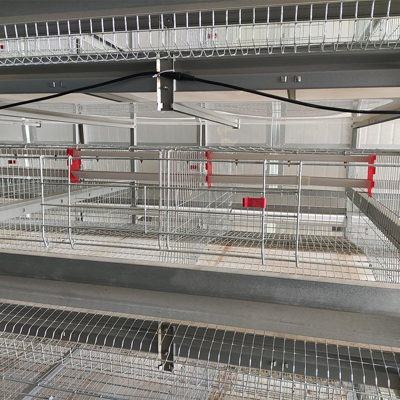 Клетка для кур-несушек автоматическая H-типа