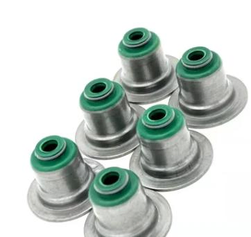 Маслосъёмный колпачок NBR/FKM для мотоцикла