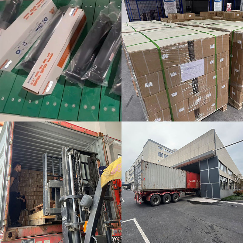 340075 Sho01324 Customized Amortiguador Auto Parts High Quality Front Shock Absorber for Ford F-150 2009-2013 9L3z18124be Al3z18124ba