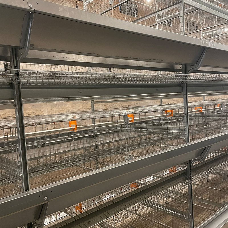 Клетка для кур-несушек автоматическая H-типа