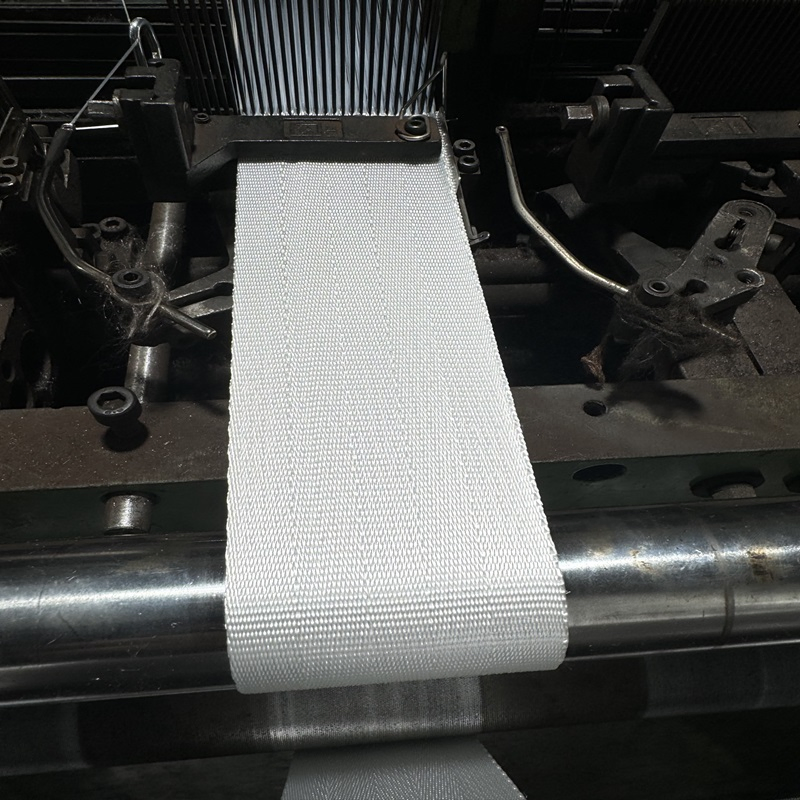 High Tenacity Nylon Ribbon Fabric Polyester Car Safety Seat Belt Webbing Strap