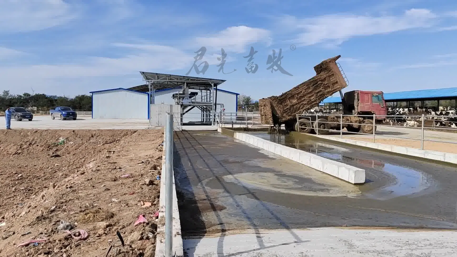 Сепаратор для навоза коров шнековый GYFL-7.5