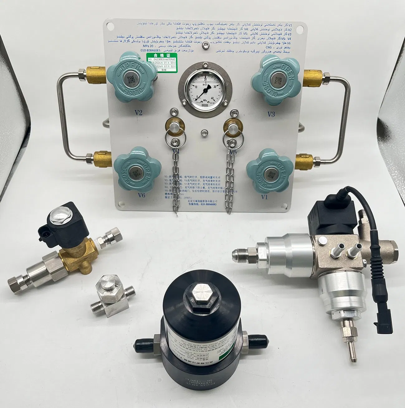 Omb Ecer Natural Gas Vehicle Auto Electrical System for CNG Car Truck