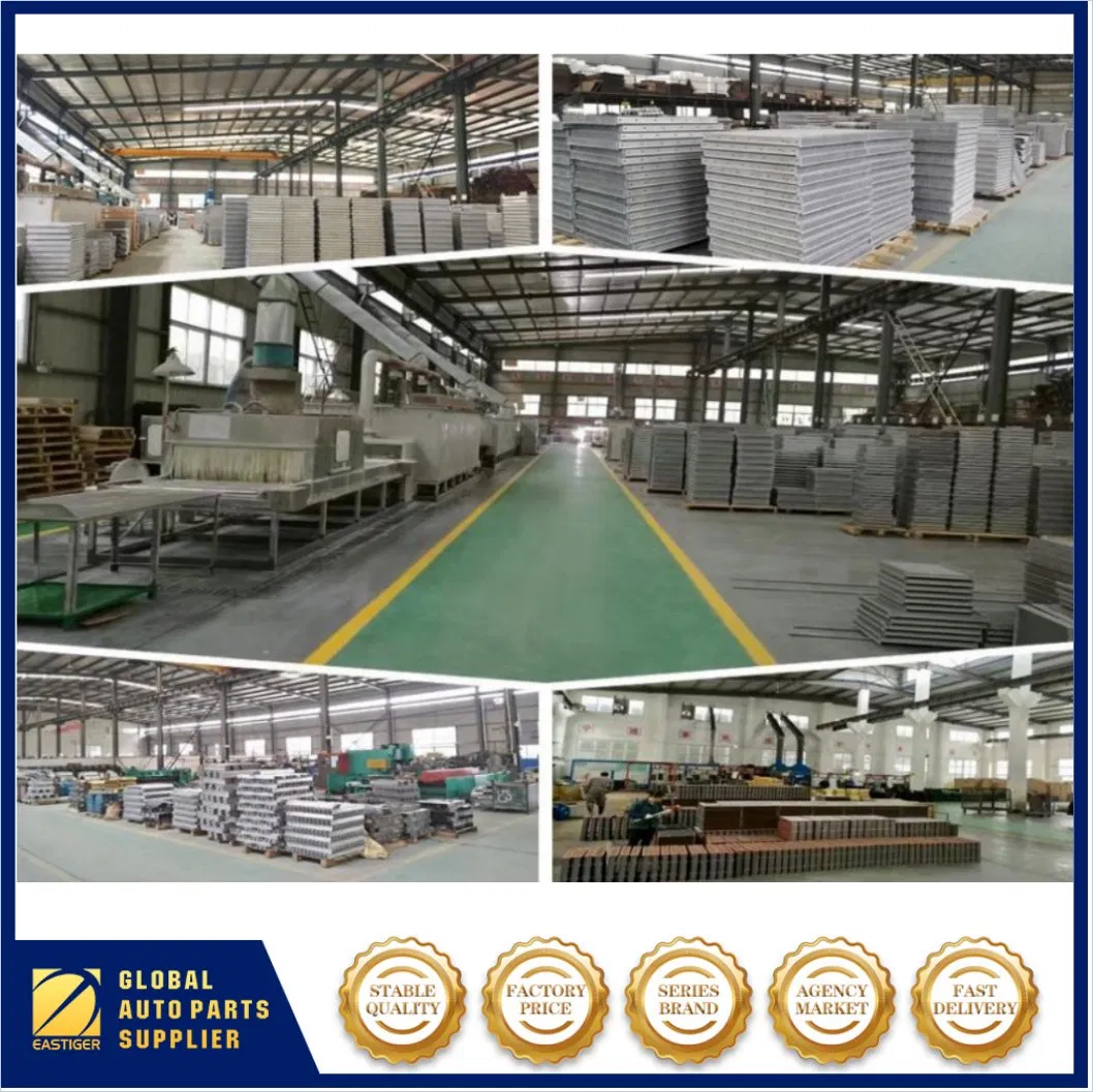 Радиатор охлаждения двигателя для Daf Truck OEM 0393433