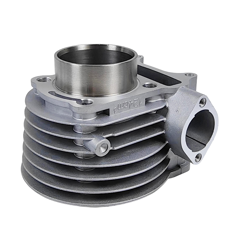 Motorcycle Engine Block CS125 Ds125 Cylinder Kit for Italika 125cc Scooter Motorcycle