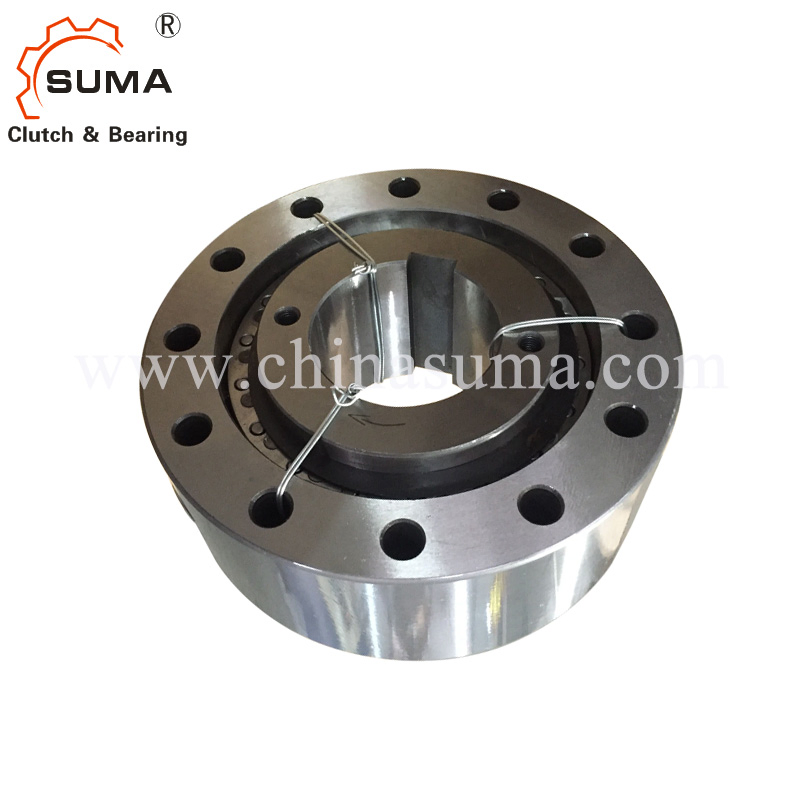 One Way Clutch Backstop (RSCI 20-130)