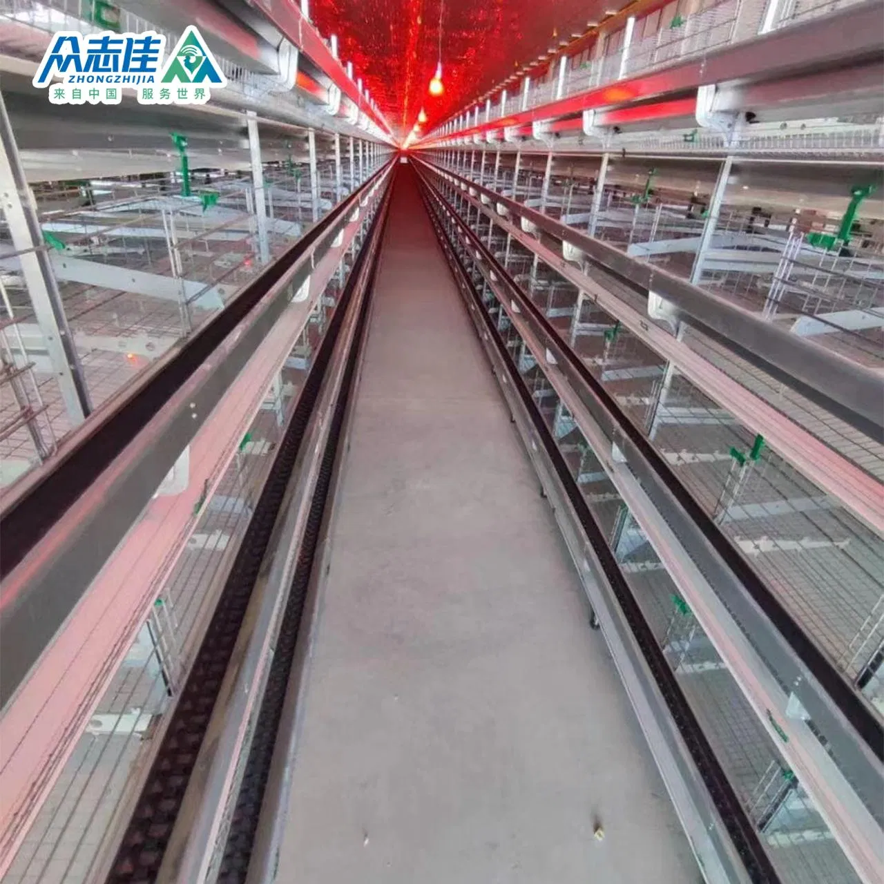 Многоярусная клеточная батарея для птицеводства H-образная