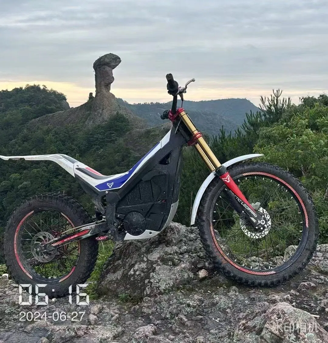 Arctic Leopard Snow Leopard Ex800/700 Extremely Strong Power 75V25kw Electric off Road Motorcycle