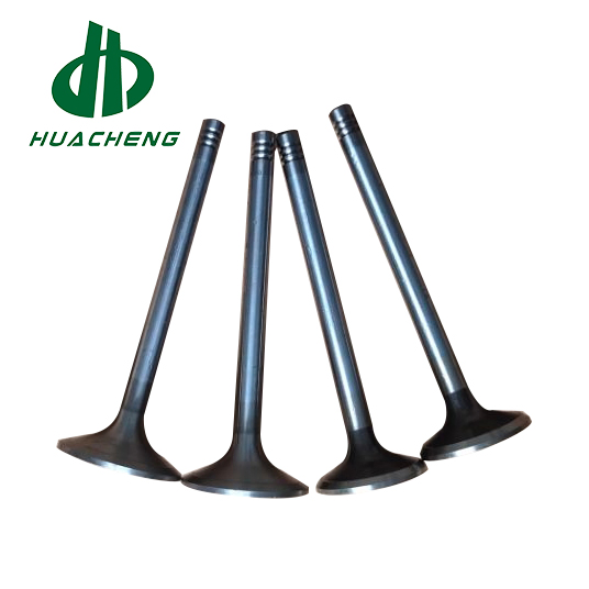 Клапан двигателя Volvo D7E для дизельных грузовиков