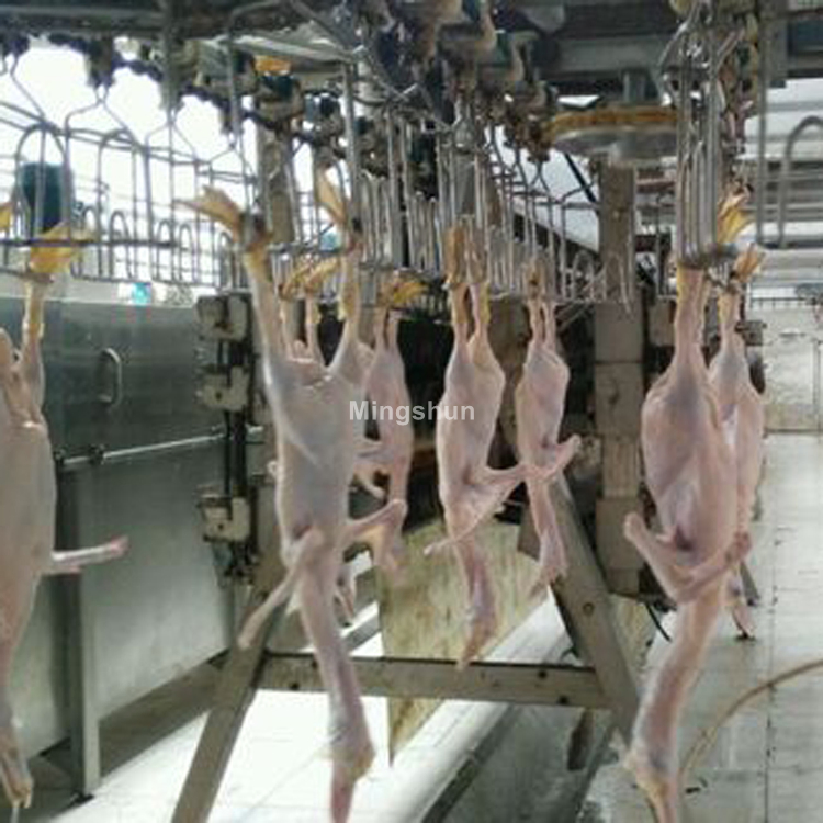 Машина для обработки птицы из нержавеющей стали 304