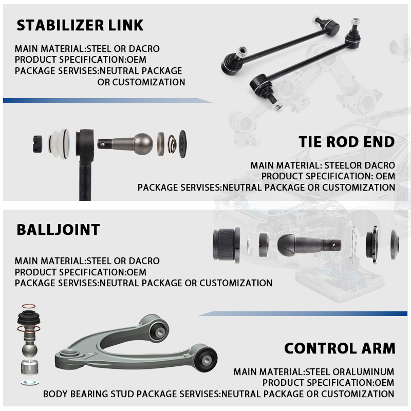 OE 543024989r Chassis Parts Shock Absorber for Dacia, Lada, Renault