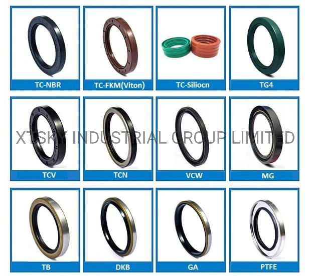 Xtsky High Quality Oil Seal 85*110*16