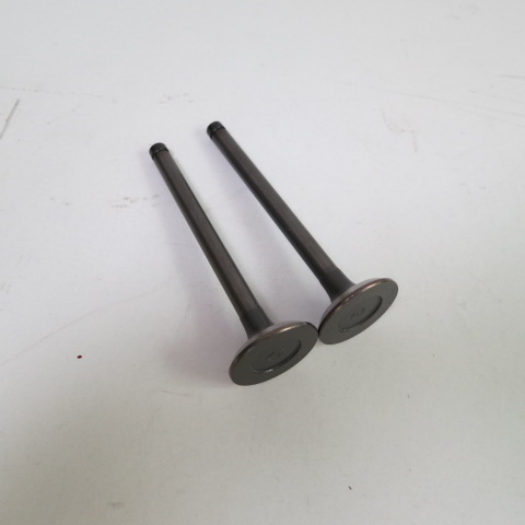 Выпускной и впускной клапан Cummins 32012412 32012413