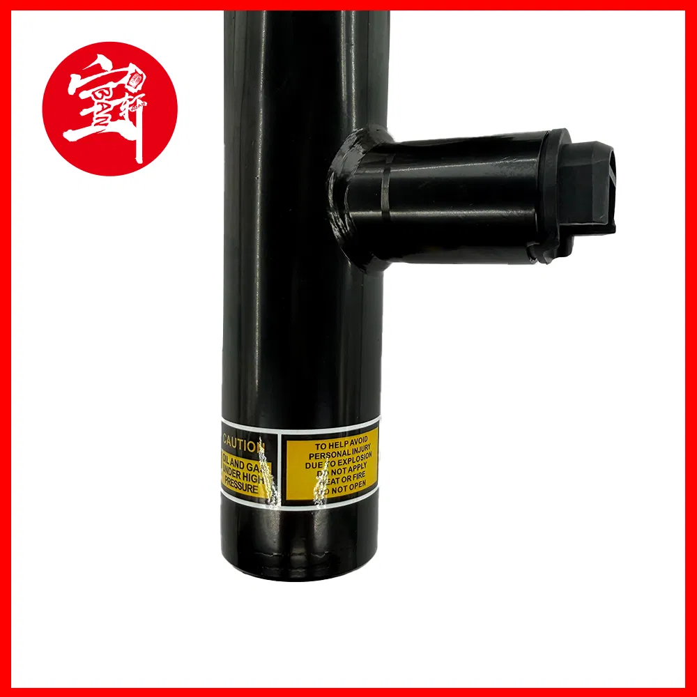 VW Shock Absorber Ready to Fit Front Strut Assembly Kit with Mounts - Ready to Install, Mul