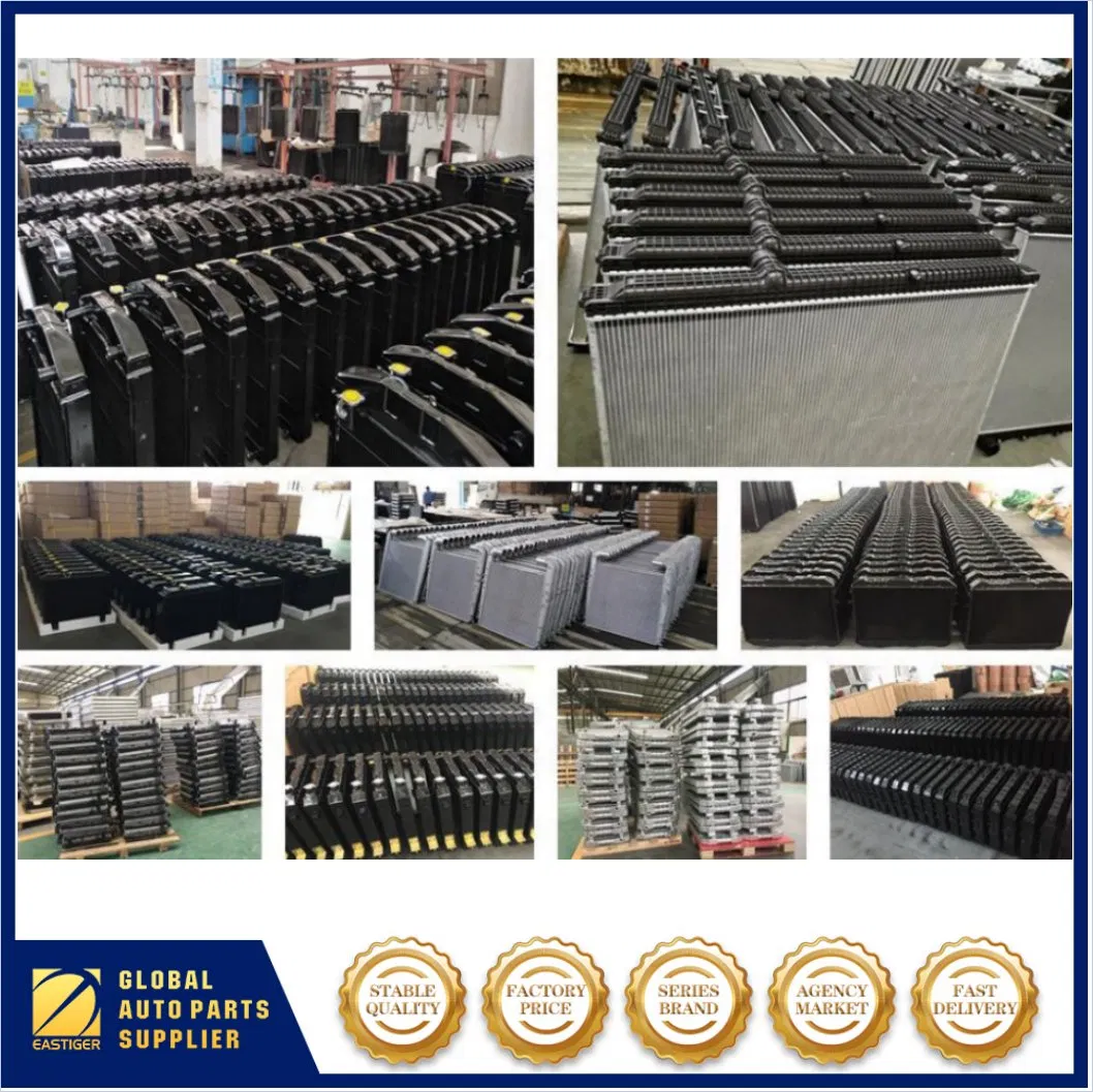 Радиатор охлаждения двигателя для Daf Truck OEM 0393433