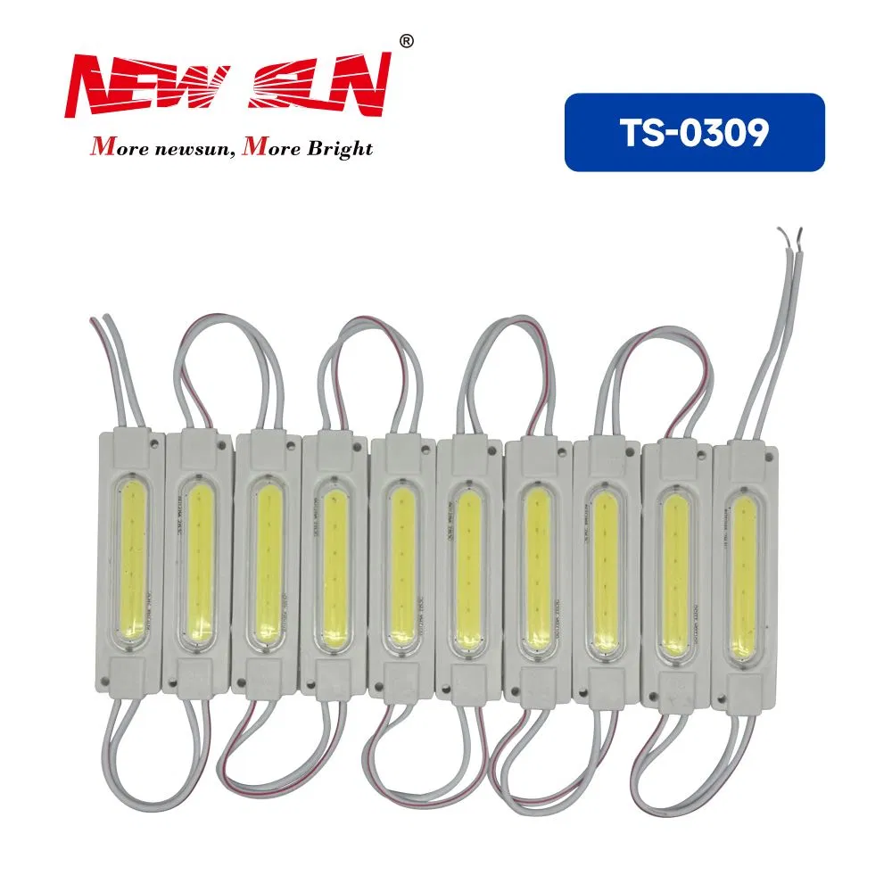 12V High Brightness Waterproof COB LED Module IP65 Waterproof Injection LED Module Light