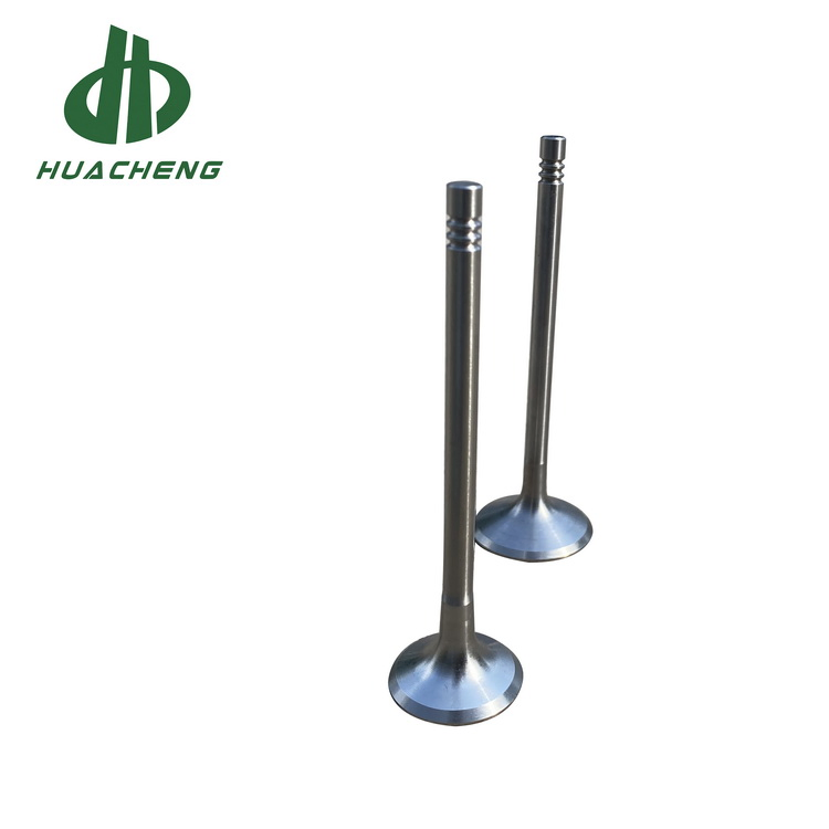 Впускной и выпускной клапан двигателя VW EA888